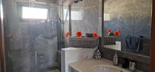 普拉亚布兰卡Casa De Nefertiti的带淋浴、盥洗盆和镜子的浴室