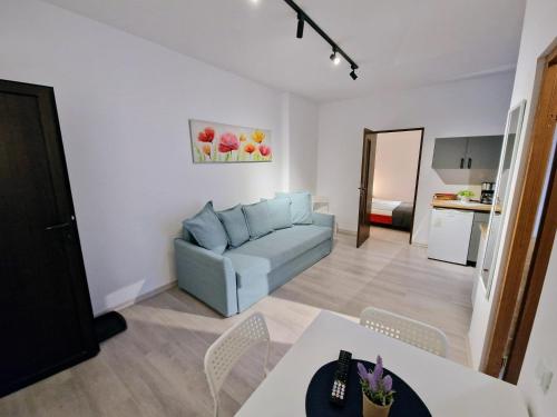 布拉索夫主广场多样公寓的客厅配有沙发和桌子