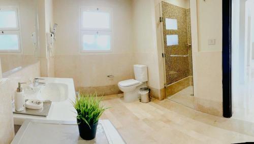 赫尔格达Azzura appartment sahl hashesh with private garden的浴室配有卫生间、盥洗盆和淋浴。