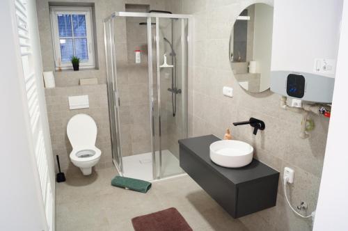 利托梅日采Apartmány Atrium的带淋浴、卫生间和盥洗盆的浴室