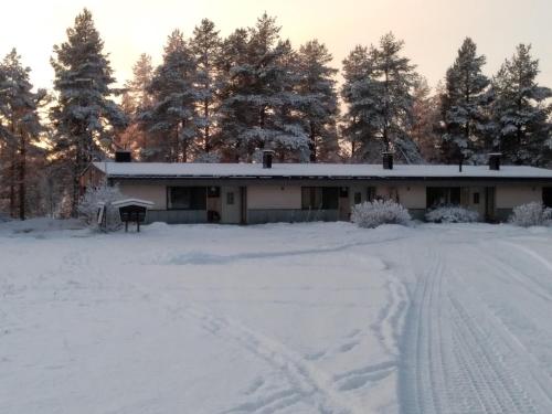 萨拉Karhunkierrospysäkki的雪中树下的房屋