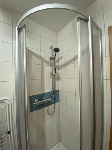 林茨Moderne Wohnung Nähe Hauptbahnhof Linz的带淋浴的浴室,带玻璃门