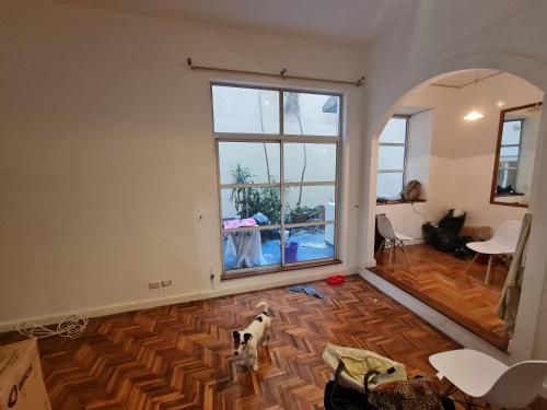 布宜诺斯艾利斯Departamento Alto Palermo的一间客厅,地板上放着一只狗,还有一个窗户