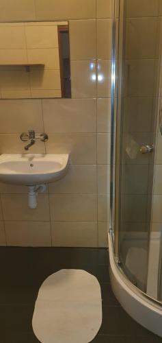 马佐夫舍地区托马舒夫Mieszkanie 6 osobowe的一间带水槽、淋浴和卫生间的浴室
