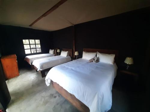 贝拉贝拉VlakkiesKraal Bosbok Camp的一间卧室配有两张带白色床单的床