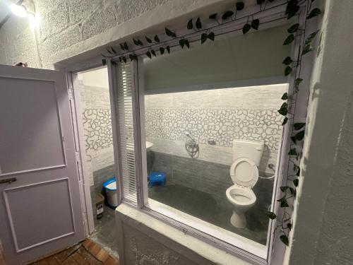 达兰萨拉Dreamwoods A travellers farmhouse的一间带卫生间和窗户的浴室