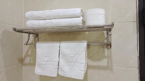山萝Galaxy Grand Hotel的浴室内带毛巾的毛巾架