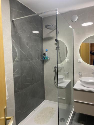 普洛切Apartman "Lara"的一间带玻璃淋浴间和水槽的浴室