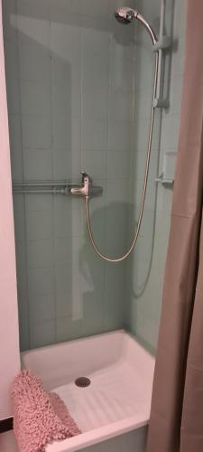 圣路易Studio KAAN avec terrasse 5mn Basel Airport的浴室里设有玻璃门淋浴