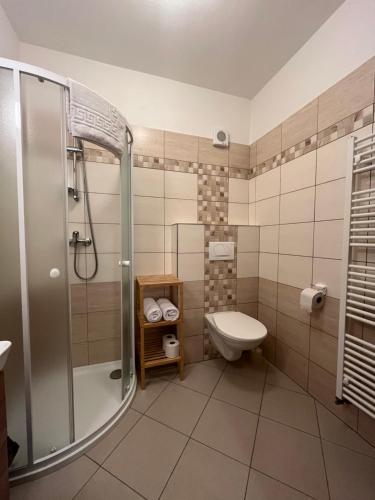 济泽罗河畔帕塞基Na Planýrce的带淋浴和卫生间的浴室