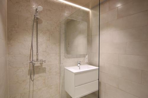 诺德代希Seeblick 5 - Luxus am Hafen的一间带水槽和玻璃淋浴的浴室