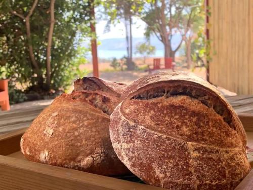 ChorazimBed & Bread的木桌旁有两根面包
