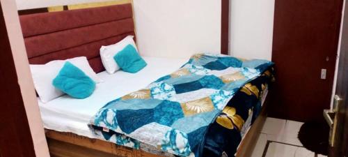 阿姆利则Arora classic guest house的一张床上有蓝色枕头的睡床