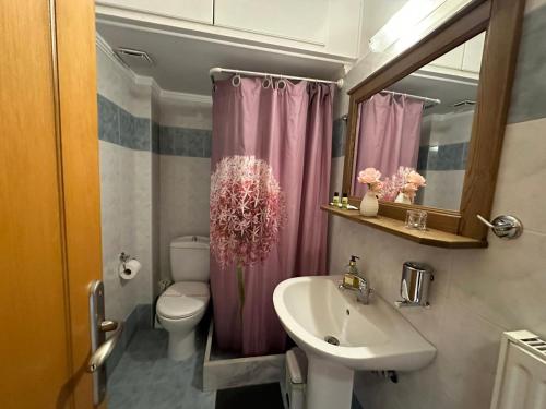 卡尔派尼西翁Xenonas Drimos的浴室设有粉红色的淋浴帘和水槽