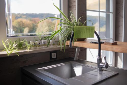 策拉-梅利斯Ferienwohnung Pfaffentalblick的厨房水槽,窗户边有植物