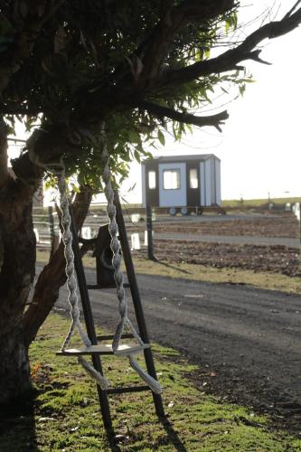 KillarneyCoastal Haven - Port Fairy Tiny Homes的挂在路边树上的秋千