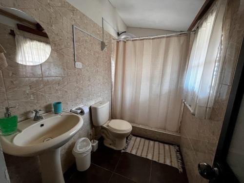 瓦努科Casa San Lorenzo的一间带水槽、卫生间和淋浴的浴室