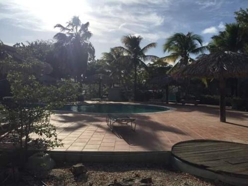 克拉伦代克Caribbean Court E1的棕榈树庭院内一个带长凳的游泳池
