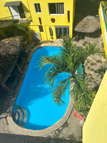 苏莎亚Coco Hotel and Hostel的一座蓝色的游泳池,在一座建筑前有棕榈树