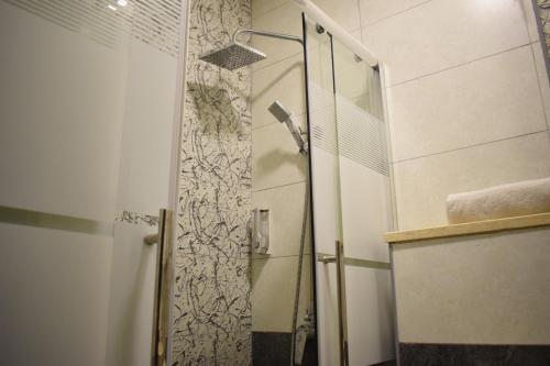 安曼Nour Hotel的浴室里设有玻璃门淋浴