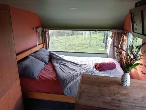 凯里凯里Down to earth NZ的一个小房间的一个床位,设有窗户