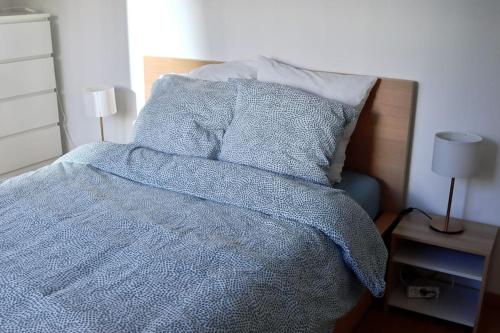 费内-伏尔泰Apartment in Ferney close to Geneva United Nations的一间卧室配有一张带蓝色毯子和枕头的床。