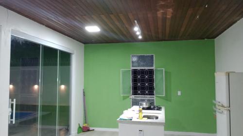 马瑙斯UM POUCO DE NATUREZA NO LAR的一间设有绿色墙壁和水槽的客房