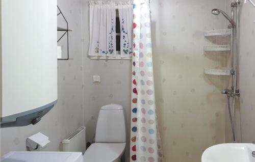 布拉纳斯1 Bedroom Gorgeous Home In Torsby的一间带卫生间和淋浴的小浴室