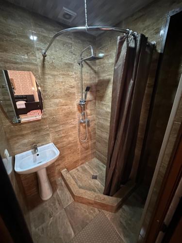 第比利斯Hotel M.Classic的带淋浴和盥洗盆的浴室