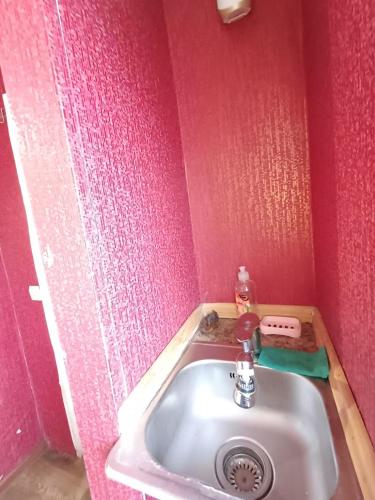 切尔卡瑟Дом от владельца с парковой的粉红色墙壁上带水槽的浴室