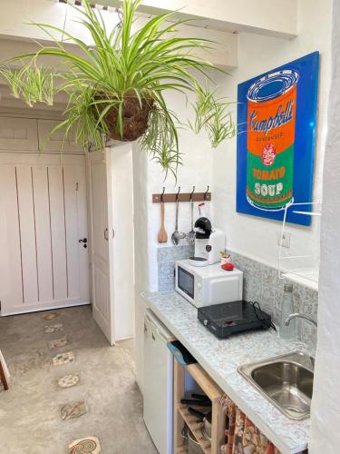 马赫Casa Kira, Macher的厨房配有带微波炉和植物的台面