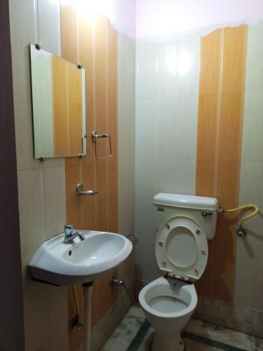 钱德加尔HOTEL NEW APPLE ROSE的一间带卫生间和水槽的浴室