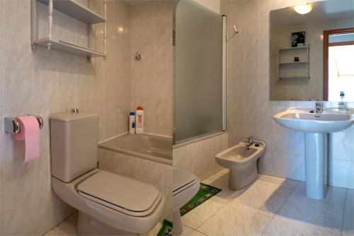 哈卡Apartamento Pico Aspe的一间带卫生间和水槽的浴室