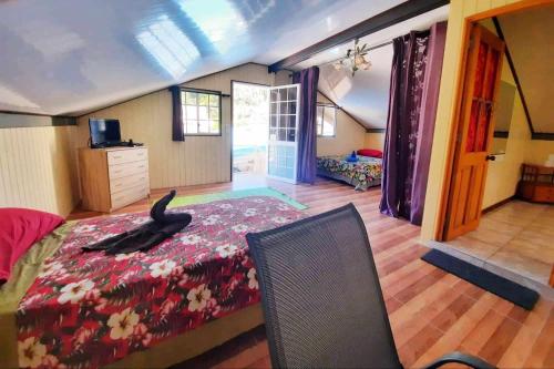 乌图罗阿Studio Rava 1 Room Fare Tepua Lodge的卧室里躺在床上,有一只黑猫
