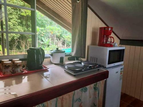 乌图罗阿Studio Rava 1 Room Fare Tepua Lodge的厨房配有带微波炉的台面