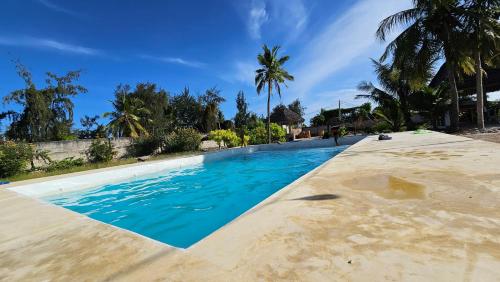 NdiziMalik Villa Matemwe的一座拥有蓝色海水和棕榈树的游泳池