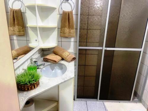 弗洛里亚诺波利斯Apartamento Rafaelli的一间带水槽和淋浴的浴室