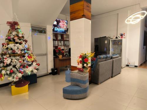 Bagua GrandeHOTEL VIP 46 SSQS的客厅配有圣诞树和沙发
