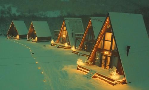梅斯蒂亚WinterFell Mestia的雪中一排遮着圣诞灯的房屋