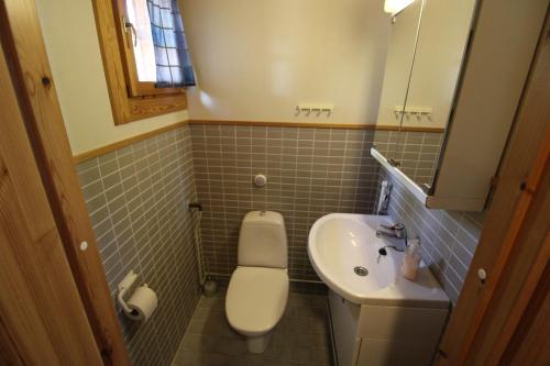 KoroVilla Nurminiemi的一间带卫生间和水槽的小浴室