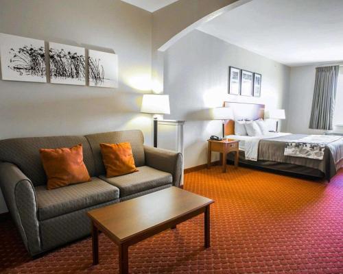 新布朗费尔斯新布劳恩费尔斯酒店及套房的酒店客房设有一张沙发和一张床
