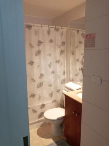 圣地亚哥DEPARTAMENTOS SANTIAGO CENTRO的一间带卫生间和淋浴帘的浴室