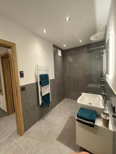 莱奥冈Appartement Bergsicht的一间带水槽和淋浴的浴室