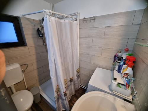 博尔沙CABANA MERISORULUI的带淋浴、卫生间和盥洗盆的浴室