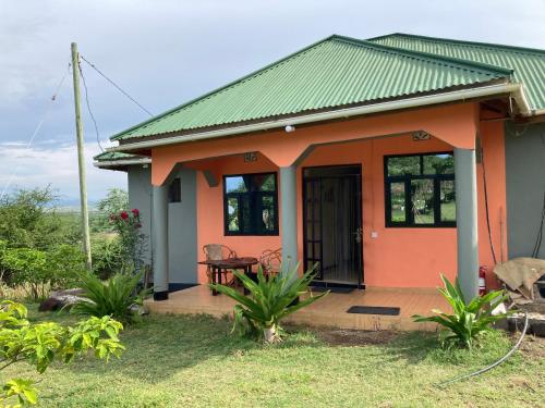 MtowabagaLake Natron Maasai Guesthouse的绿色屋顶的小房子
