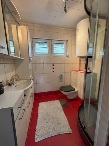 米尔施塔特Kantor Lodges & Chalets的一间带卫生间和水槽的浴室