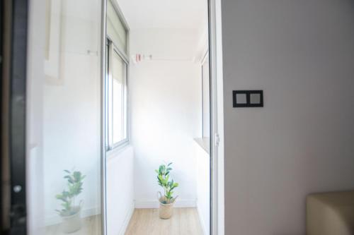韦斯卡Apartamento moderno y céntrico en Huesca ciudad的一间镜子房,里面装有两株植物
