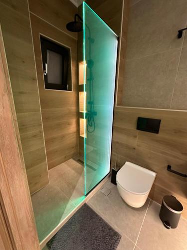 阿格里尼翁Olive-Luxury apartment in agrinio的一间带卫生间和玻璃淋浴间的浴室