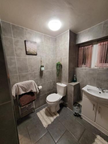 恩菲尔德Cozy room London的一间带卫生间和水槽的浴室