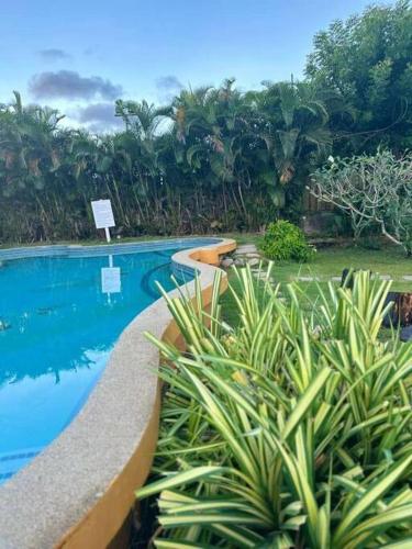 南迪Ambitious Apartment Lot 7的一座拥有植物的度假胜地的游泳池